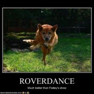 Or Does Your Dancing Need More “Puppy”?